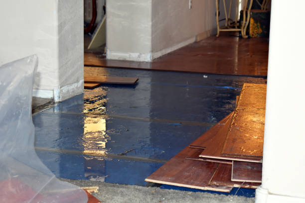 Professional Flood Cleanup technician working in Lena, MS